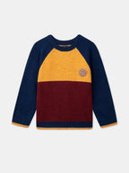 Pull tricolore - 1