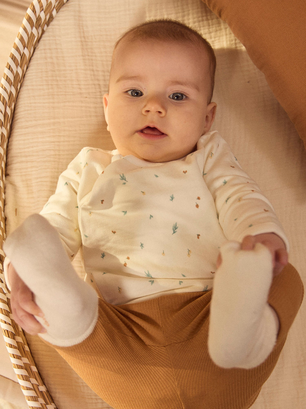 Ensemble haut imprimé feuillage + pantalon marron + chaussettes Naissance Mixte - 2
